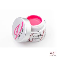 VT - SIMPLY Colour Gel Hibiscus 5ml