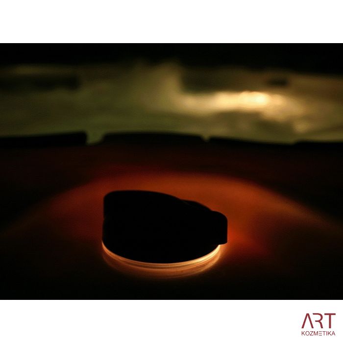 Zunanji SPA masažni bazen ART - Lion