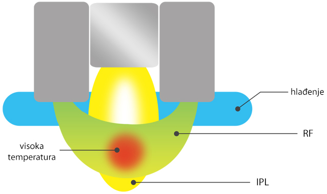djelovanje elite ana shr djelovanje elite ana shr
