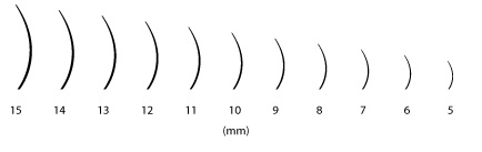 Dolžina trepalnic Dolžina trepalnic