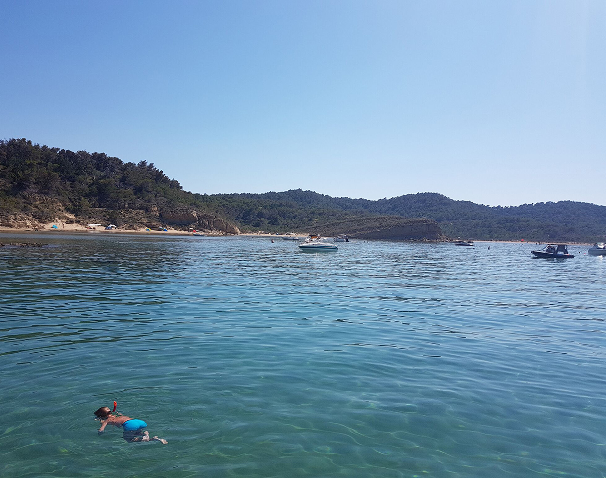 vsa svoboda vsa svoboda